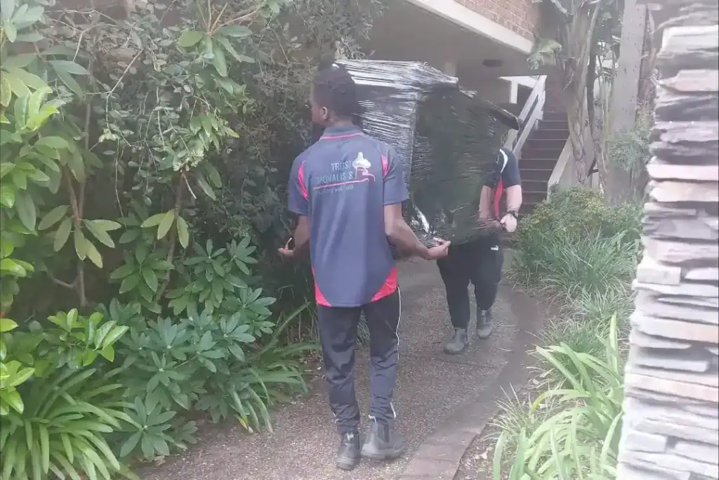 Removalists North Shore