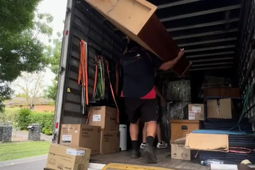 Removalists North Shore